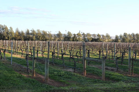 Milawa Vineyard Views - Guesthouse 2 - Accommodation Cairns 0