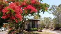 Book Mount Larcom Accommodation Vacations Accommodation Cairns Accommodation Cairns
