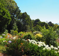 Murrindindi - Accommodation Cairns