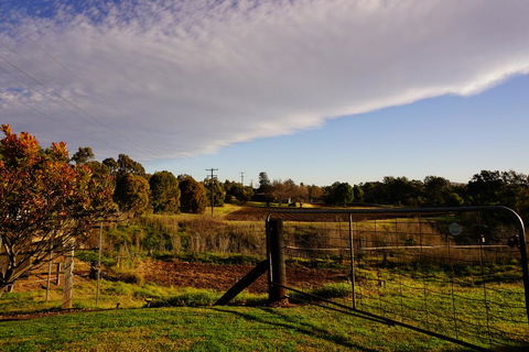 Muswellbrook Northside B&B - Accommodation Cairns 3