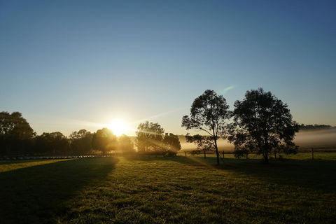 Narangba Motel (formerly Brisbane North B&B And Winery) - Accommodation Cairns 2