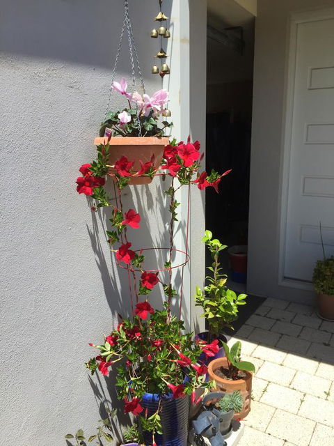 Lakeside Views - Accommodation Cairns 5