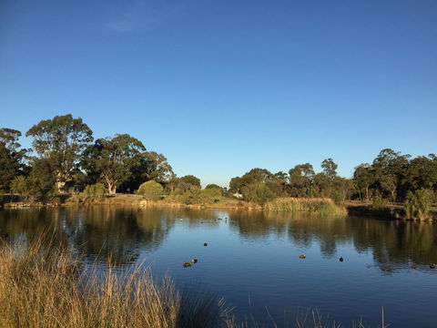 Lakeside Views - Accommodation Cairns 18
