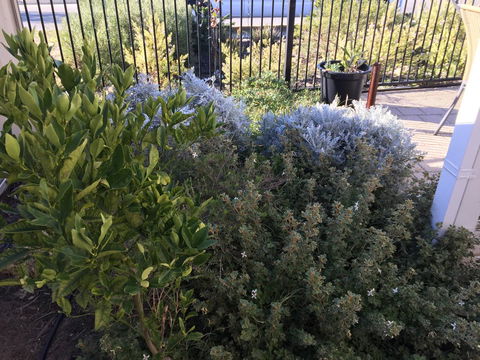 Lakeside Views - Accommodation Cairns 10