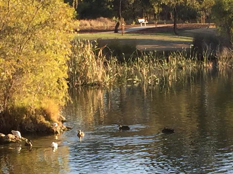 Lakeside Views - Accommodation Cairns 15