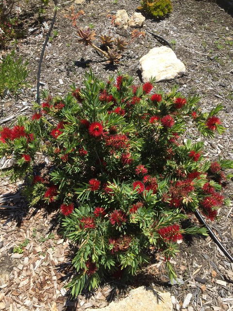 Lakeside Views - Accommodation Cairns 8