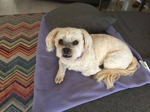 Lakeside Views - Accommodation Cairns 7