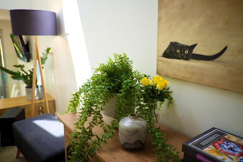 Cottesloe Artist's Beach Retreat - Accommodation Cairns 26