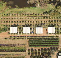 Swan Valley Sisters - Accommodation Cairns