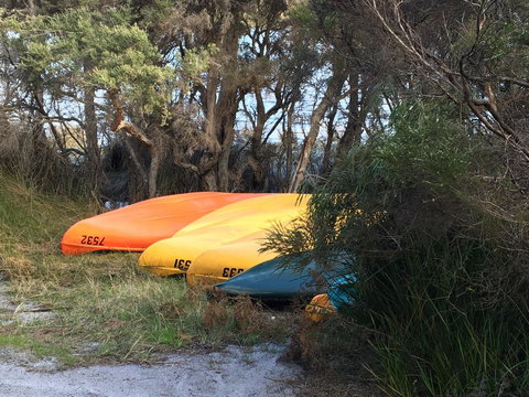 Riverside Retreat Chalets, Walpole - Accommodation Cairns 20