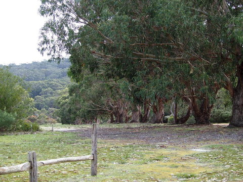 Riverside Retreat Chalets, Walpole - Accommodation Cairns 17