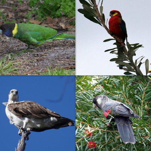 Riverside Retreat Chalets, Walpole - Accommodation Cairns 24