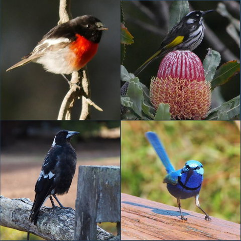 Riverside Retreat Chalets, Walpole - Accommodation Cairns 23