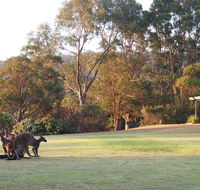 Riverside Retreat Chalets Walpole - Accommodation Cairns