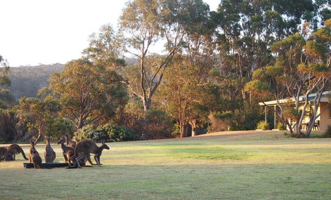 Riverside Retreat Chalets, Walpole - Accommodation Cairns 0