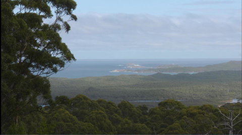 Riverside Retreat Chalets, Walpole - Accommodation Cairns 30