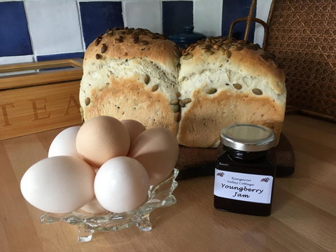 Kangaroo Valley Cottage - Accommodation Cairns 14