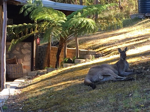 Kangaroo Valley Cottage - Accommodation Cairns 3