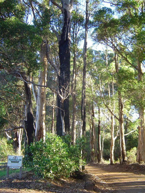 Kangaroo Valley Cottage - Accommodation Cairns 21