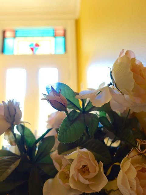 The Blacksmiths Cottage - Accommodation Cairns 16