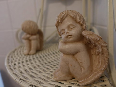 The Blacksmiths Cottage - Accommodation Cairns 27