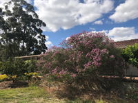 Book Cockburn Central Accommodation Vacations Accommodation Cairns Accommodation Cairns