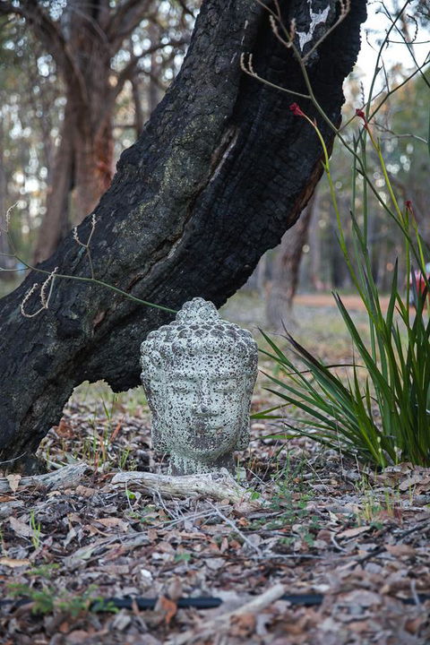 Amaroo Retreat & Spa - Accommodation Cairns 17