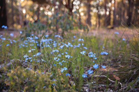 Amaroo Retreat & Spa - Accommodation Cairns 15