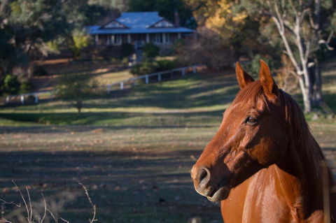 Historic Oakhill House Entire Estate - Accommodation Cairns 9