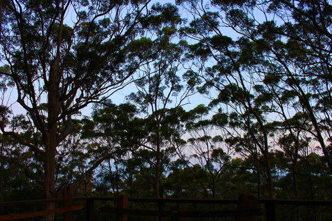 Ark Of Denmark - Accommodation Cairns 27