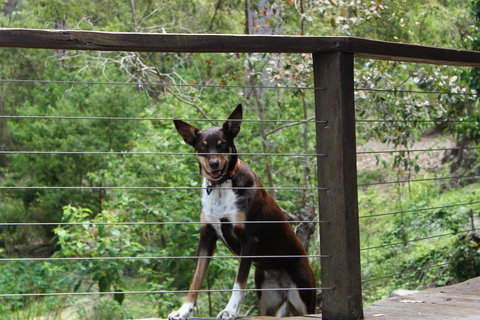 Ark Of Denmark - Accommodation Cairns 10