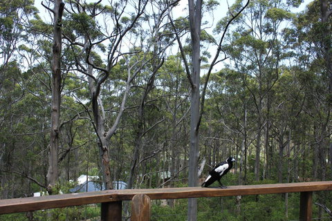 Ark Of Denmark - Accommodation Cairns 11