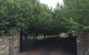 Nivalis Bed And Breakfast - thumb 34