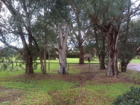 Nivalis Bed And Breakfast - Accommodation Cairns 29