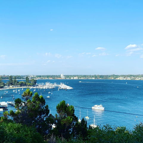 SEA BREEZE â€“ Between Cottesloe Beach & Swan River - Accommodation Cairns 23