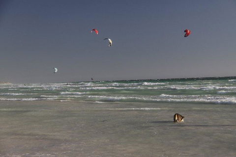 Dongara Tourist Park - Accommodation Cairns 33