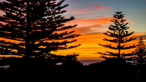 Mullaloo B & B - Accommodation Cairns 10