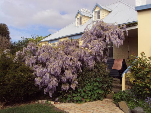 Orford's Sanda House B&B - Accommodation Cairns 40