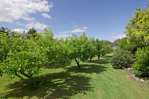 Orford's Sanda House B&B - Accommodation Cairns 37