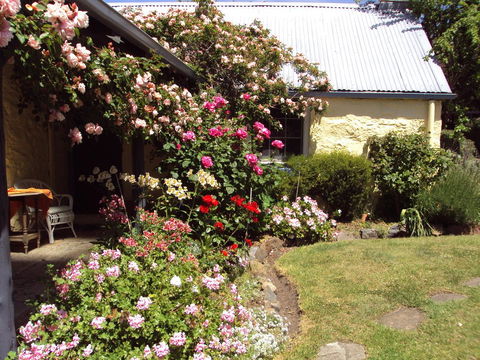 Orford's Sanda House B&B - Accommodation Cairns 36