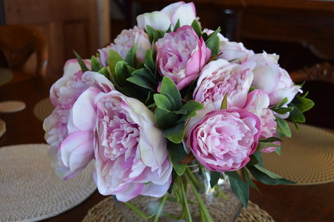 The Dragonfly Inn - Accommodation Cairns 33