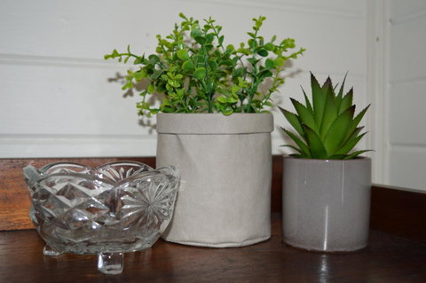 The Dragonfly Inn - Accommodation Cairns 3