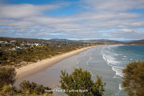 The Sandy Sister - Accommodation Cairns 37