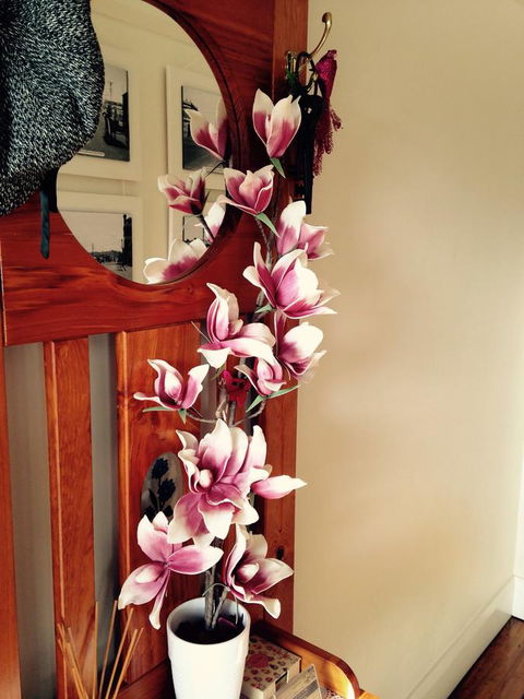 Two Up On York - Accommodation Cairns 39