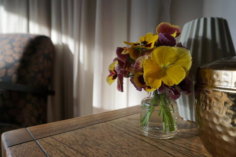 Southlynne - Accommodation Cairns 10