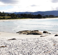 Mermaids of Bicheno - Accommodation Cairns