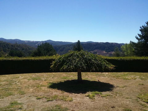 Robin\'s Nest B&B - Accommodation Cairns 28