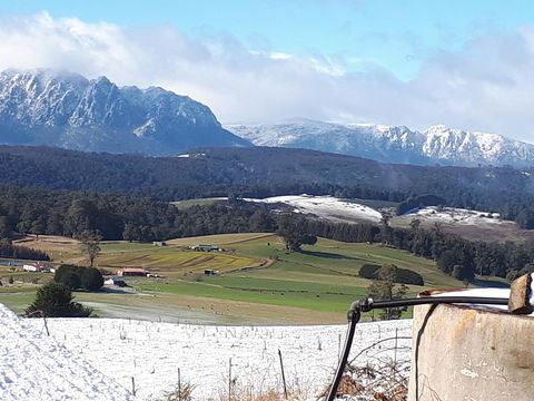 Robin\'s Nest B&B - Accommodation Cairns 12