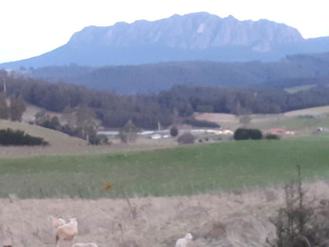 Robin\'s Nest B&B - Accommodation Cairns 32