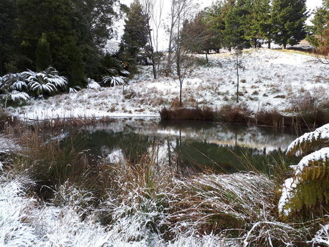 Robin\'s Nest B&B - Accommodation Cairns 25